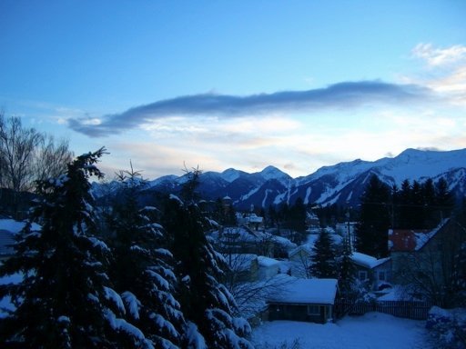 Frozen chicken nose!