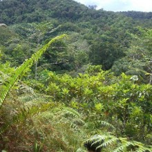 Welcome to the jungle!