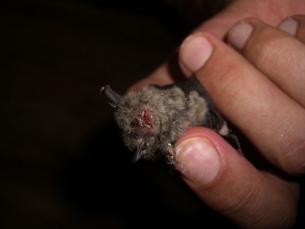 Welcome to the jungle!