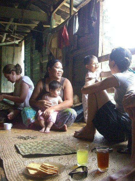 Welcome to the jungle!