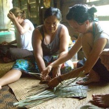 Welcome to the jungle!