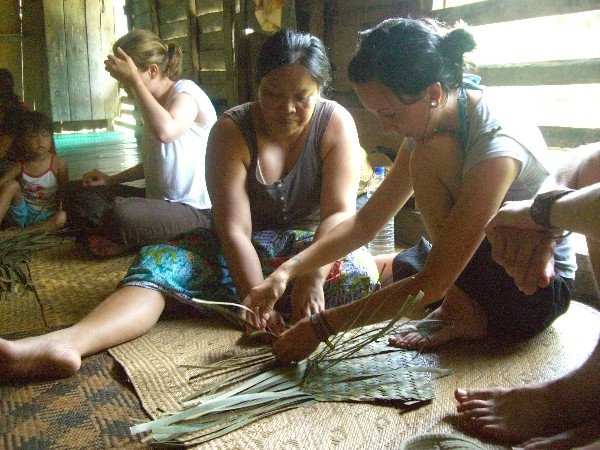 Welcome to the jungle!