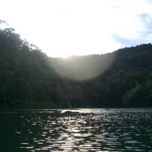 Welcome to the jungle!