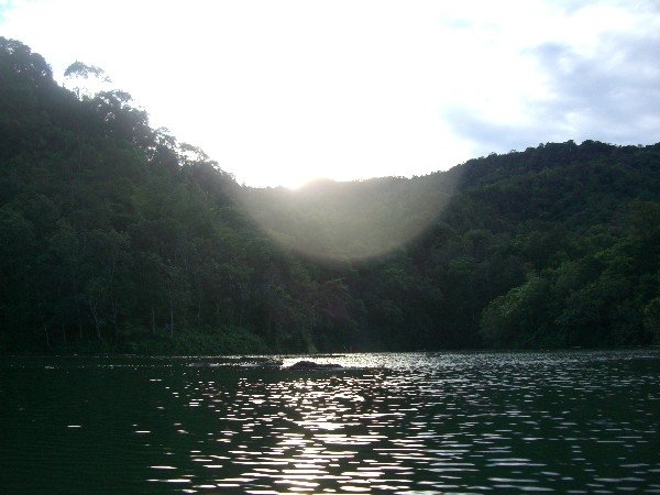 Welcome to the jungle!