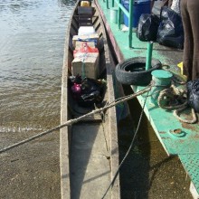 Welcome to the jungle!