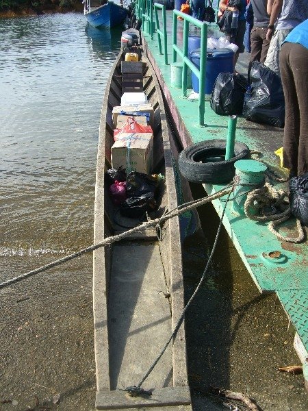 Welcome to the jungle!