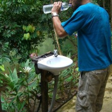 Welcome to the jungle!