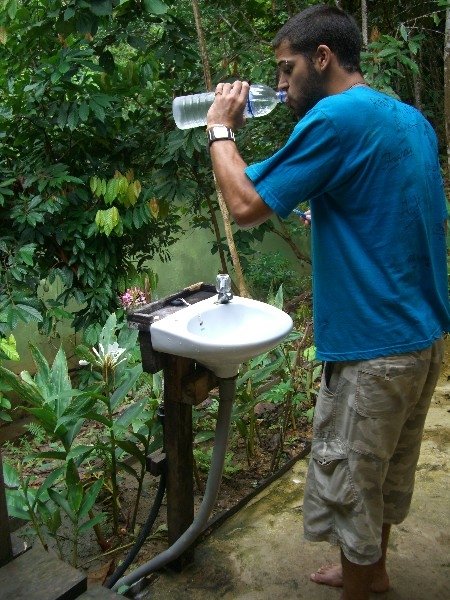 Welcome to the jungle!