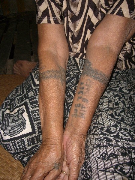 Welcome to the jungle!