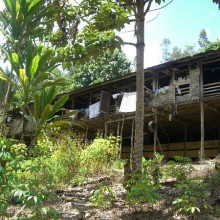 Welcome to the jungle!