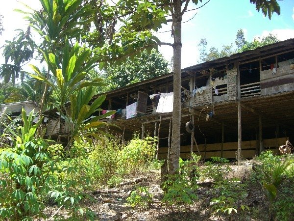 Welcome to the jungle!