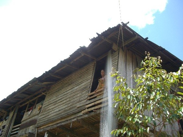 Welcome to the jungle!