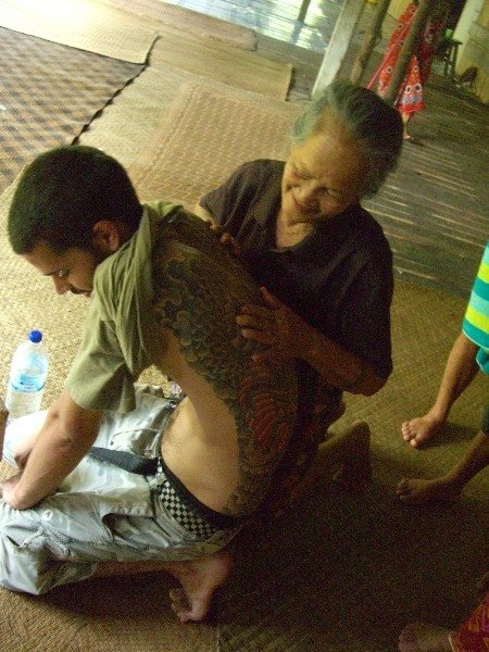 Welcome to the jungle!