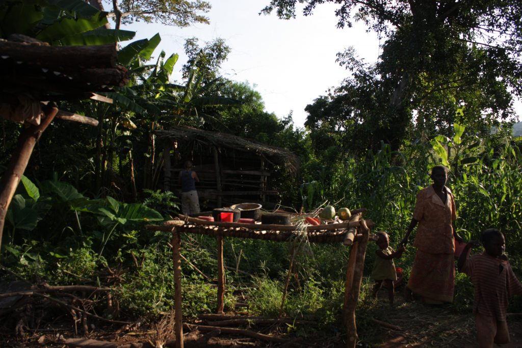 A kiss from a camel…