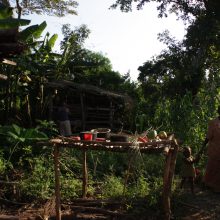 A kiss from a camel…