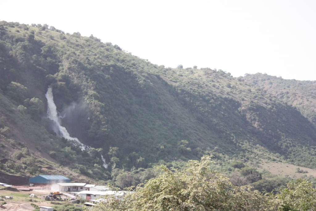 A kiss from a camel…