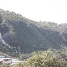 A kiss from a camel…