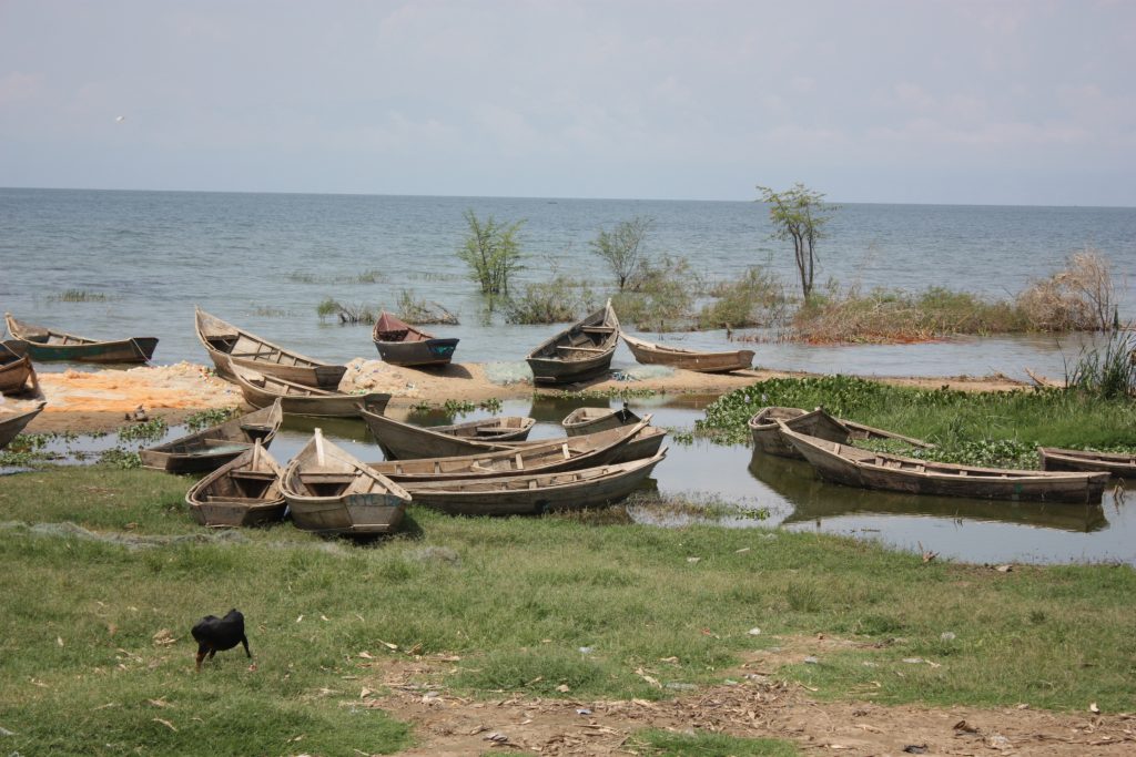 A kiss from a camel…