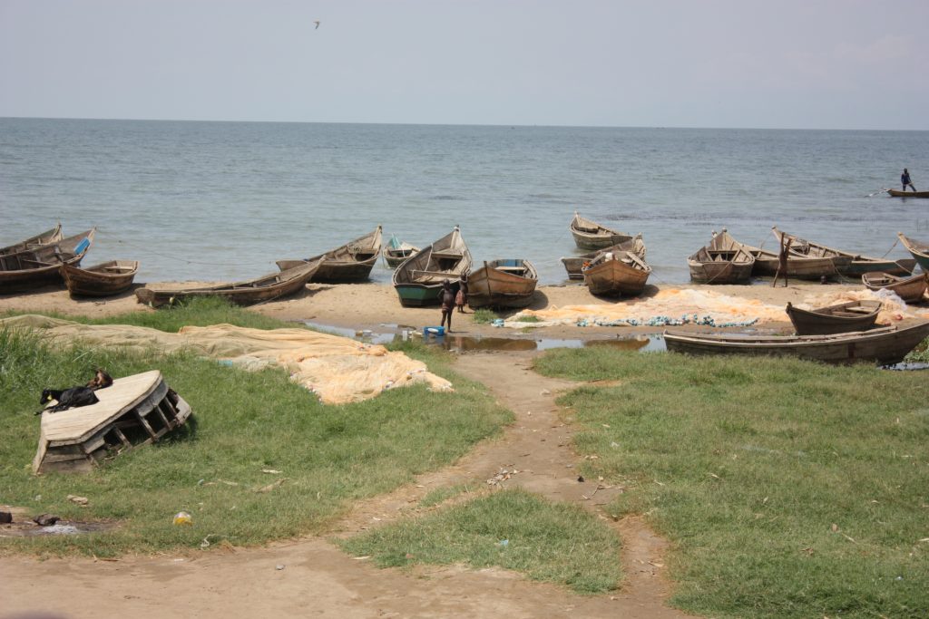 A kiss from a camel…