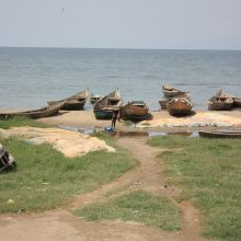 A kiss from a camel…