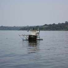 A kiss from a camel…