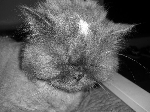 From -36 to +35 degrees