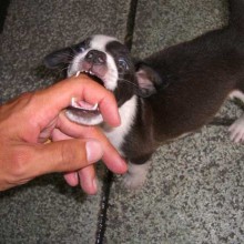 A short stop in Thailand