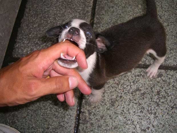 A short stop in Thailand