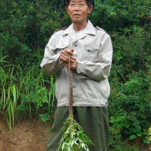Damp hostels and an even wetter summer palace!