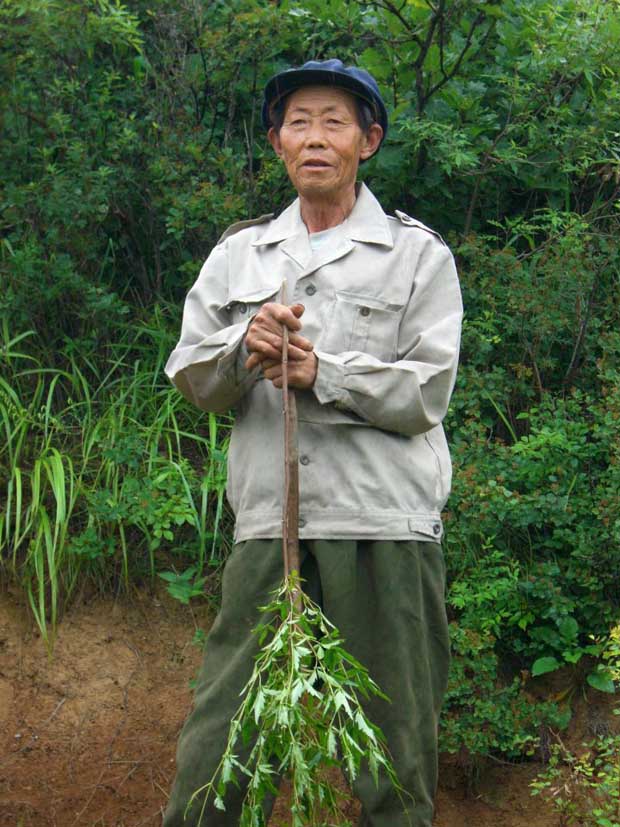 Damp hostels and an even wetter summer palace!