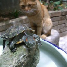 Xian, first stop in China!