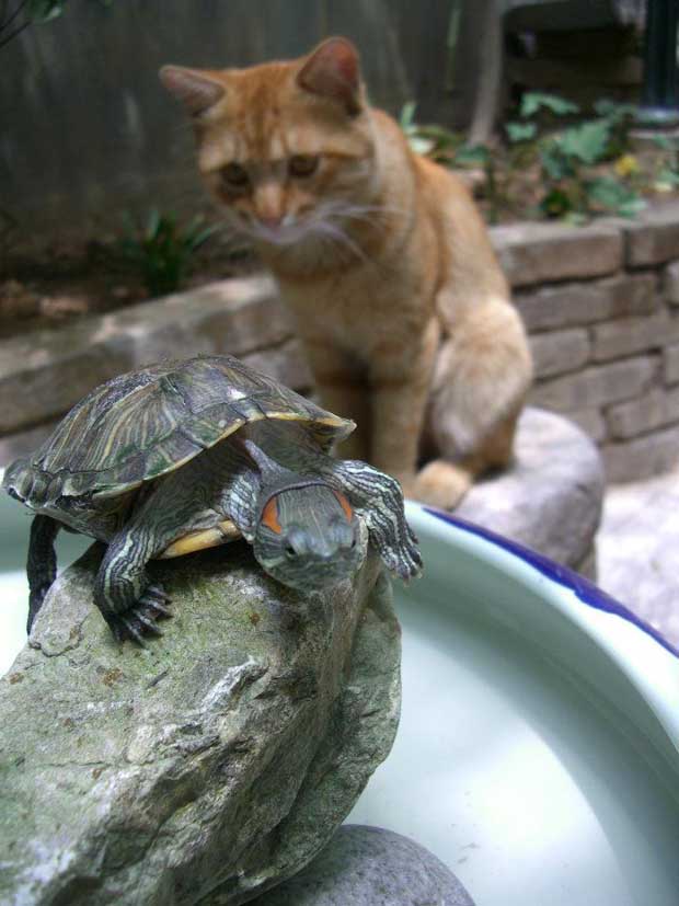 Xian, first stop in China!