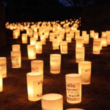 A wise man will climb Fuji once, only a fool will do it twice!