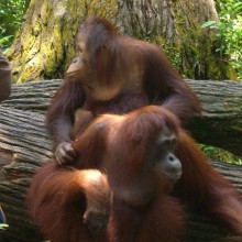 From -36 to +35 degrees