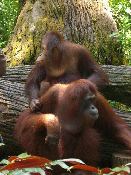 From -36 to +35 degrees