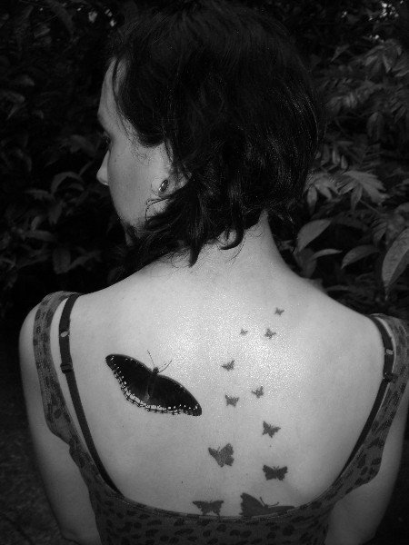 From -36 to +35 degrees