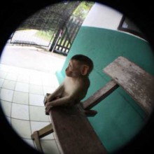 Back in Borneo!!! We are home!