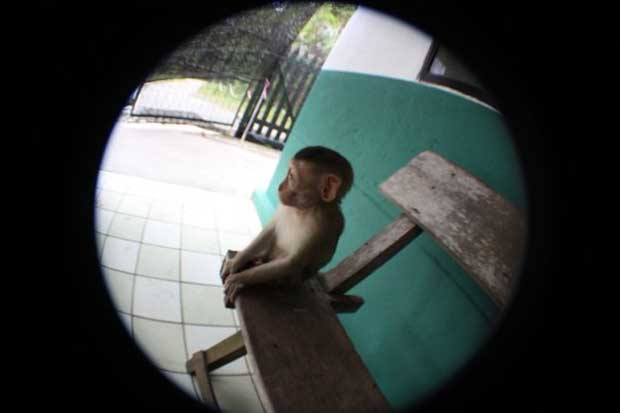 Back in Borneo!!! We are home!