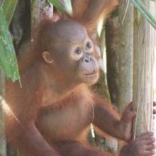 Back in Borneo!!! We are home!