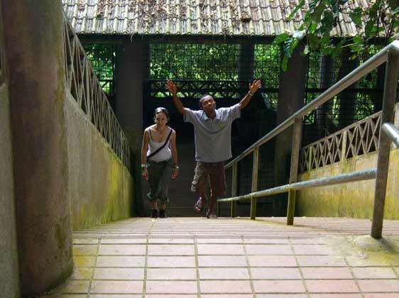 Back in Borneo!!! We are home!