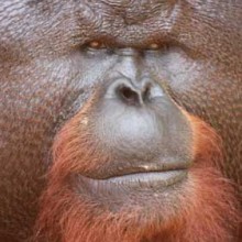 Back in Borneo!!! We are home!