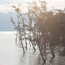 Back in Borneo!!! We are home!