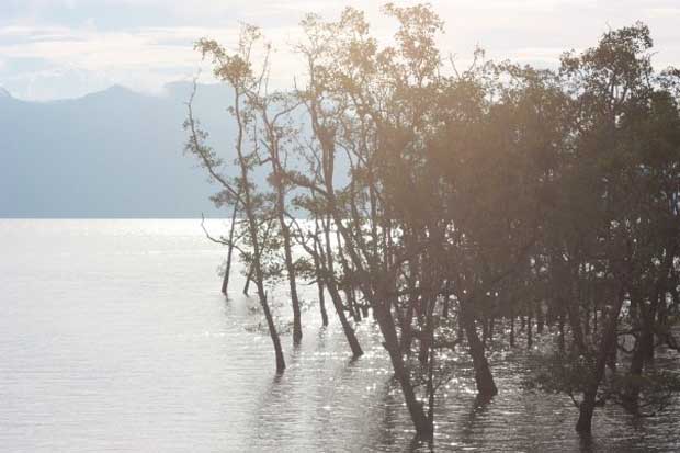 Back in Borneo!!! We are home!