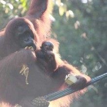 Back in Borneo!!! We are home!