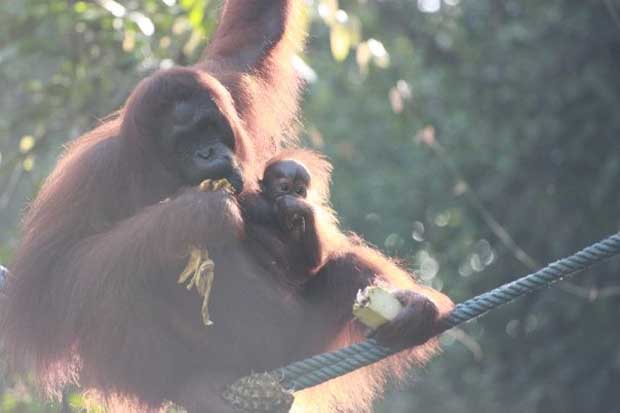 Back in Borneo!!! We are home!