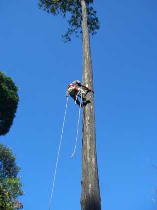 Back in Borneo!!! We are home!