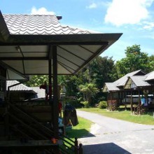 Back in Borneo!!! We are home!