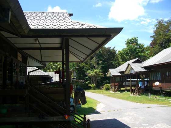 Back in Borneo!!! We are home!