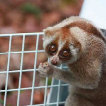 Back in Borneo!!! We are home!