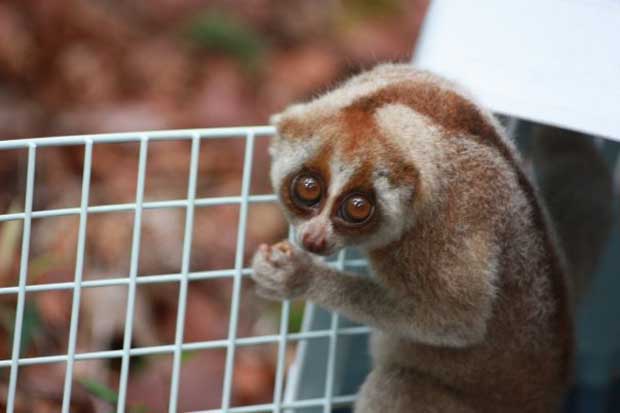 Back in Borneo!!! We are home!